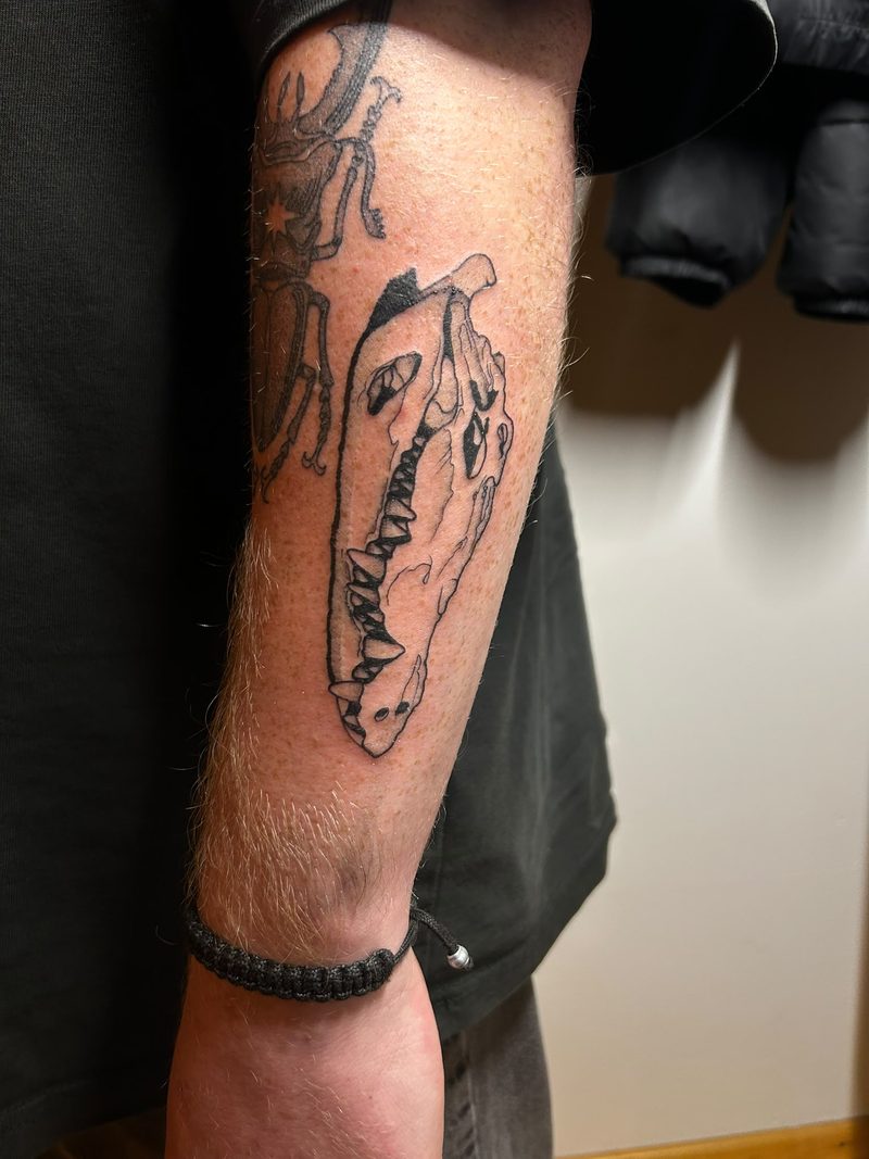 Crocodile skull with clean black lines on the forearm