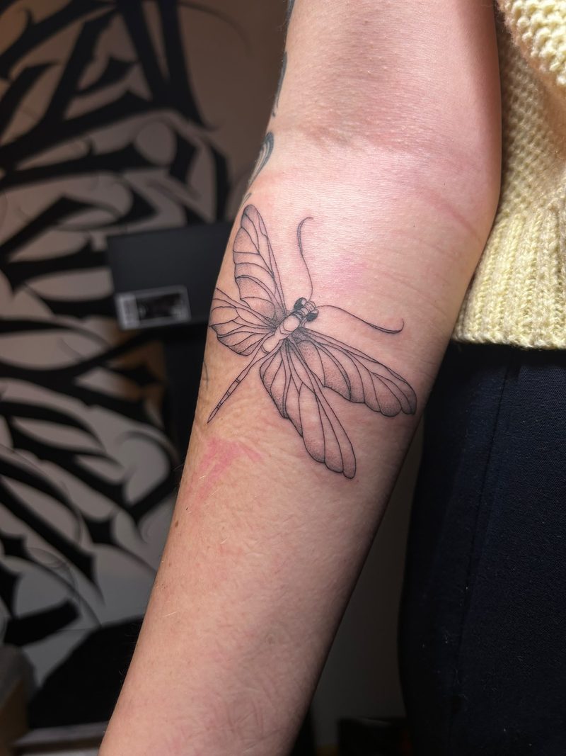 Dragonfly in fine line and dotwork on the forearm