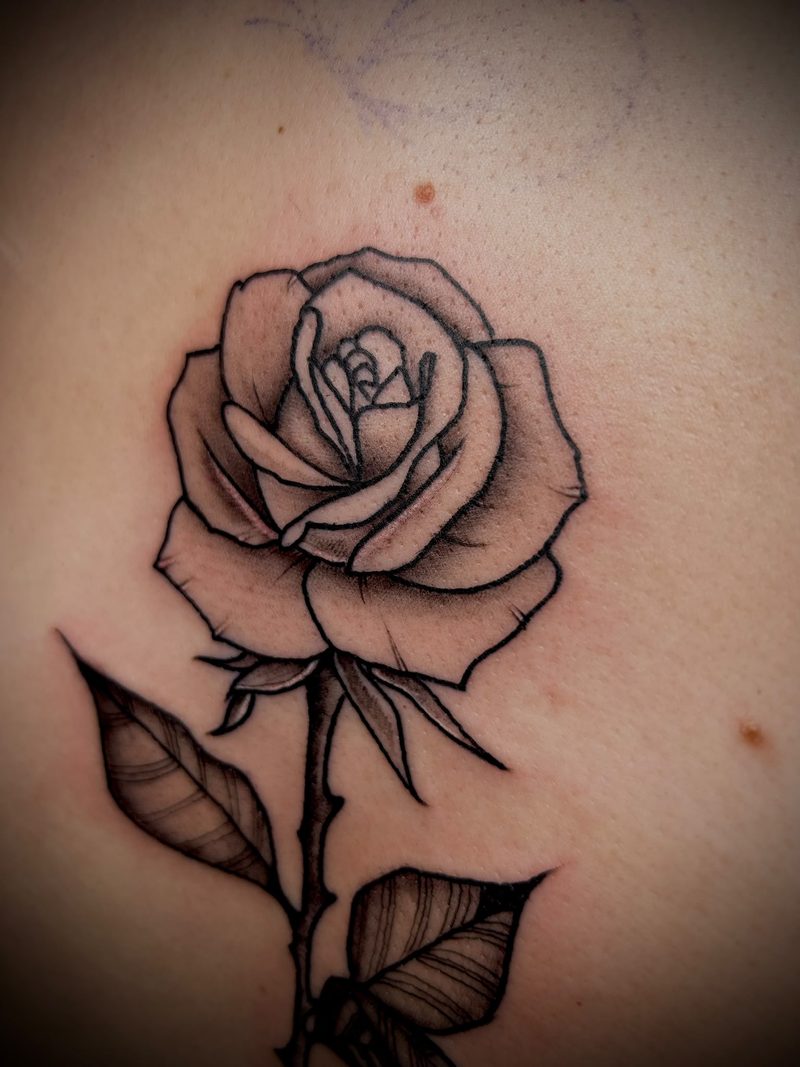 Rose with leaves and thorns in black and grey